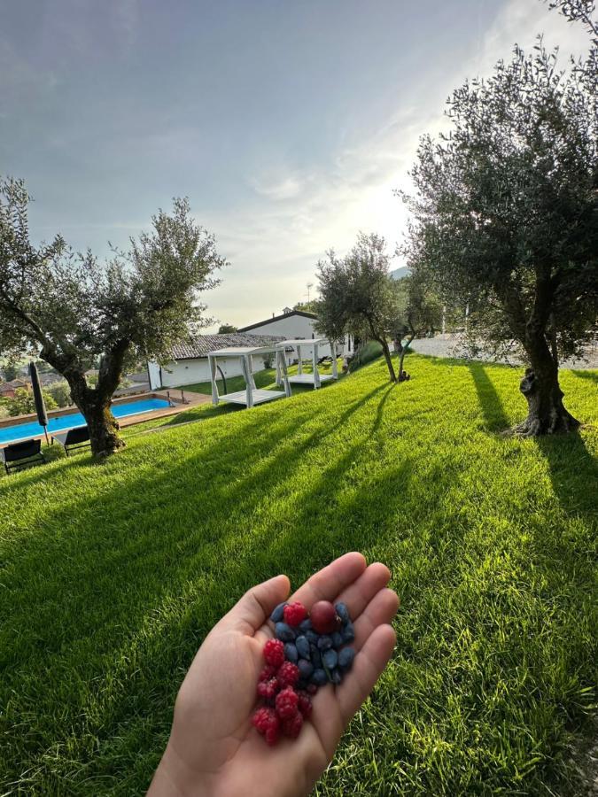 Agriturismo Maison 1933 カプリーノ・ヴェロネーゼ エクステリア 写真